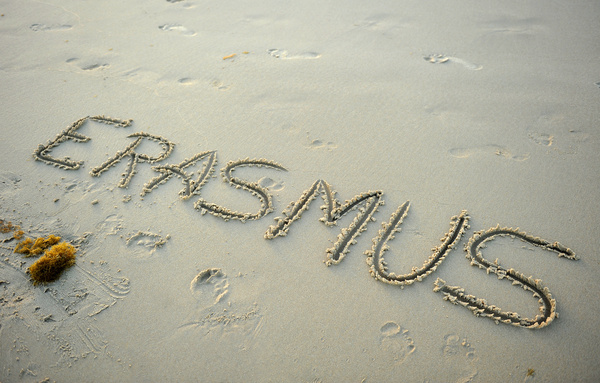 Why is it worth participating in the Erasmus program?